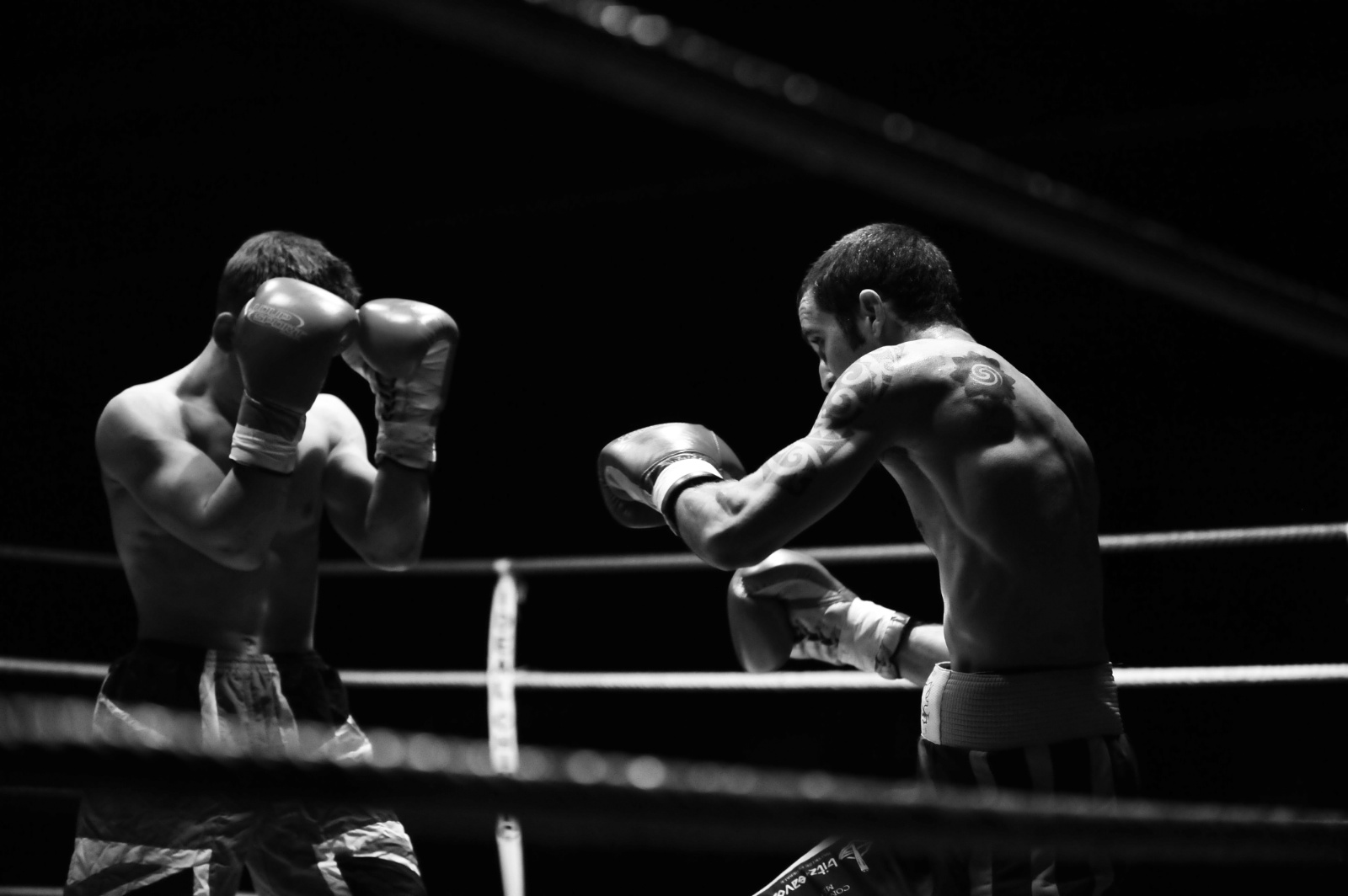 Gala boxe09 879