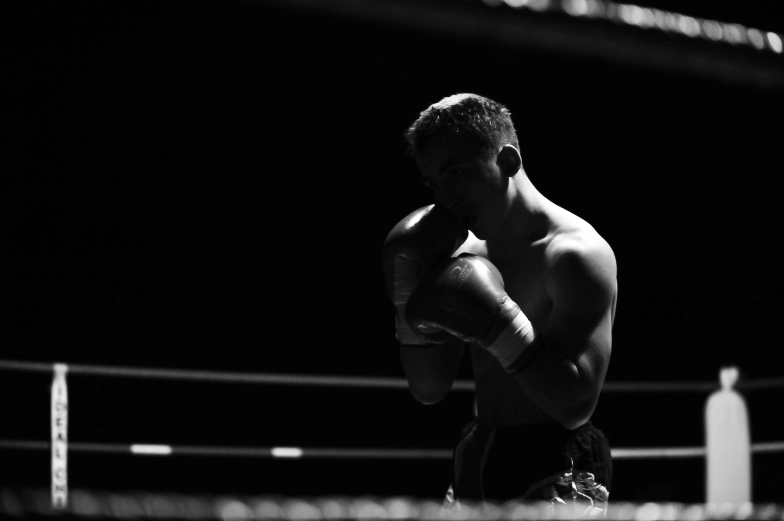 Gala boxe09 890